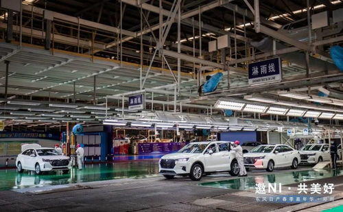 春涌绿城，潮趣焕新 东风日产郑州春季嘉年华燃情启幕